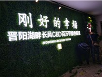 樹(shù)脂發(fā)光字作特點(diǎn)有哪些呢？山西德軒做字廠和您分享